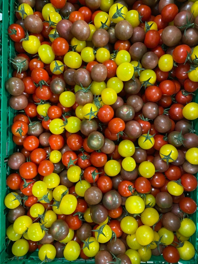 Tomate Cherry Mix hidropónico - EXPRESS 500G