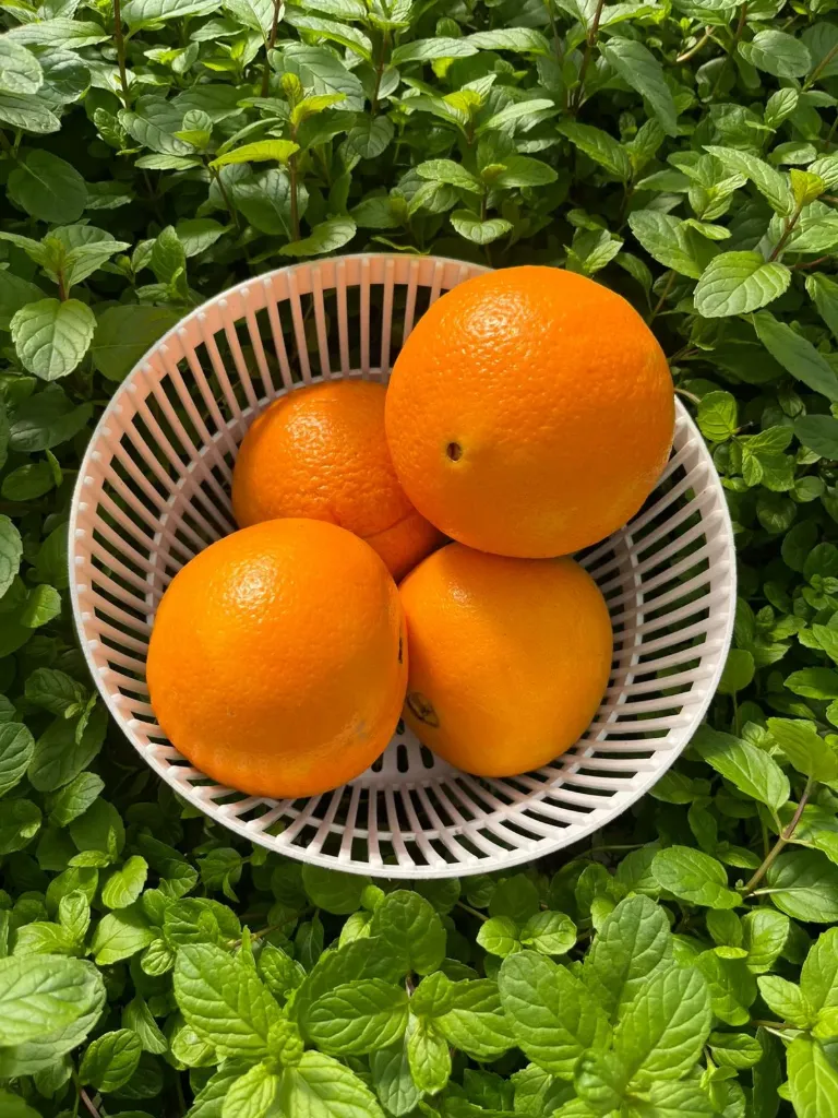 Naranja- EXPRESS 1k