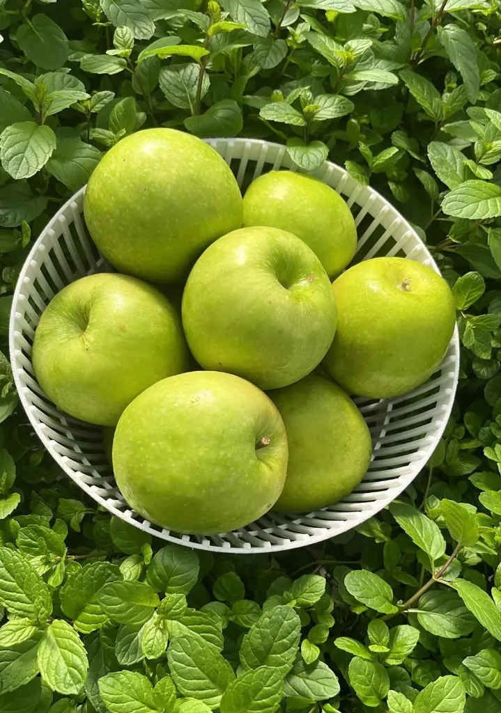 Manzana Verde- EXPRESS x 4 unidades