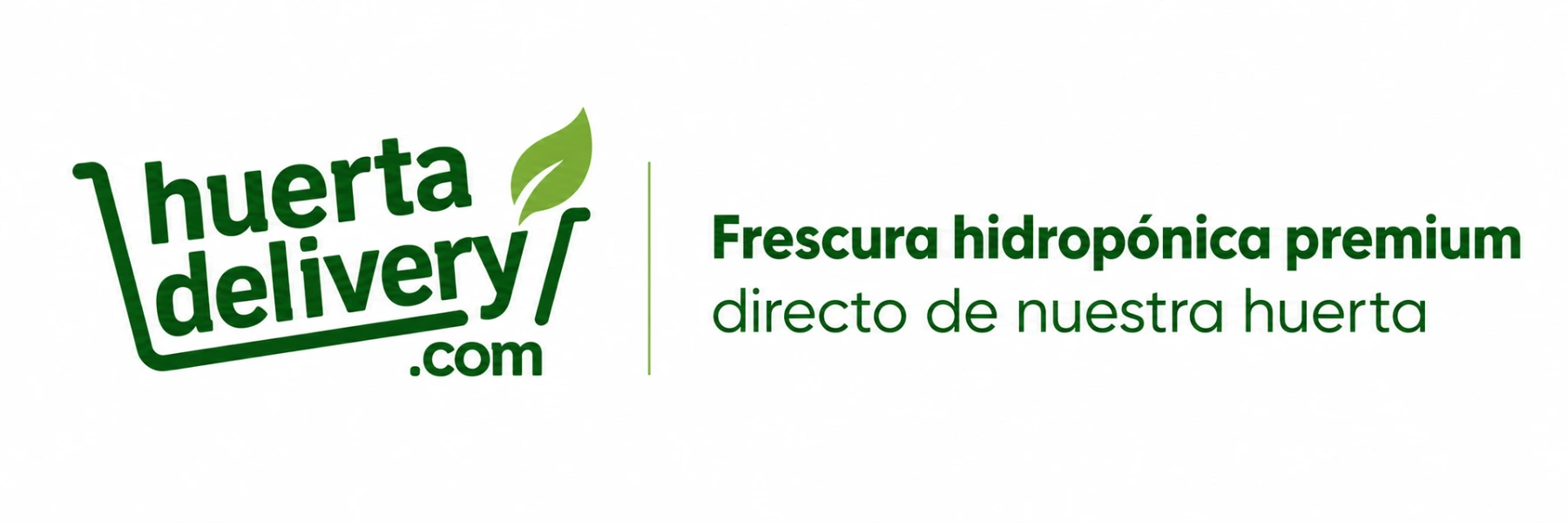 Huerta Delivery Express
